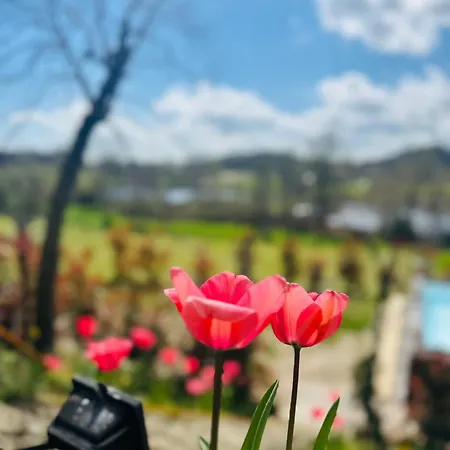 Casa vacanze Sovenigo Puegnago del Garda
